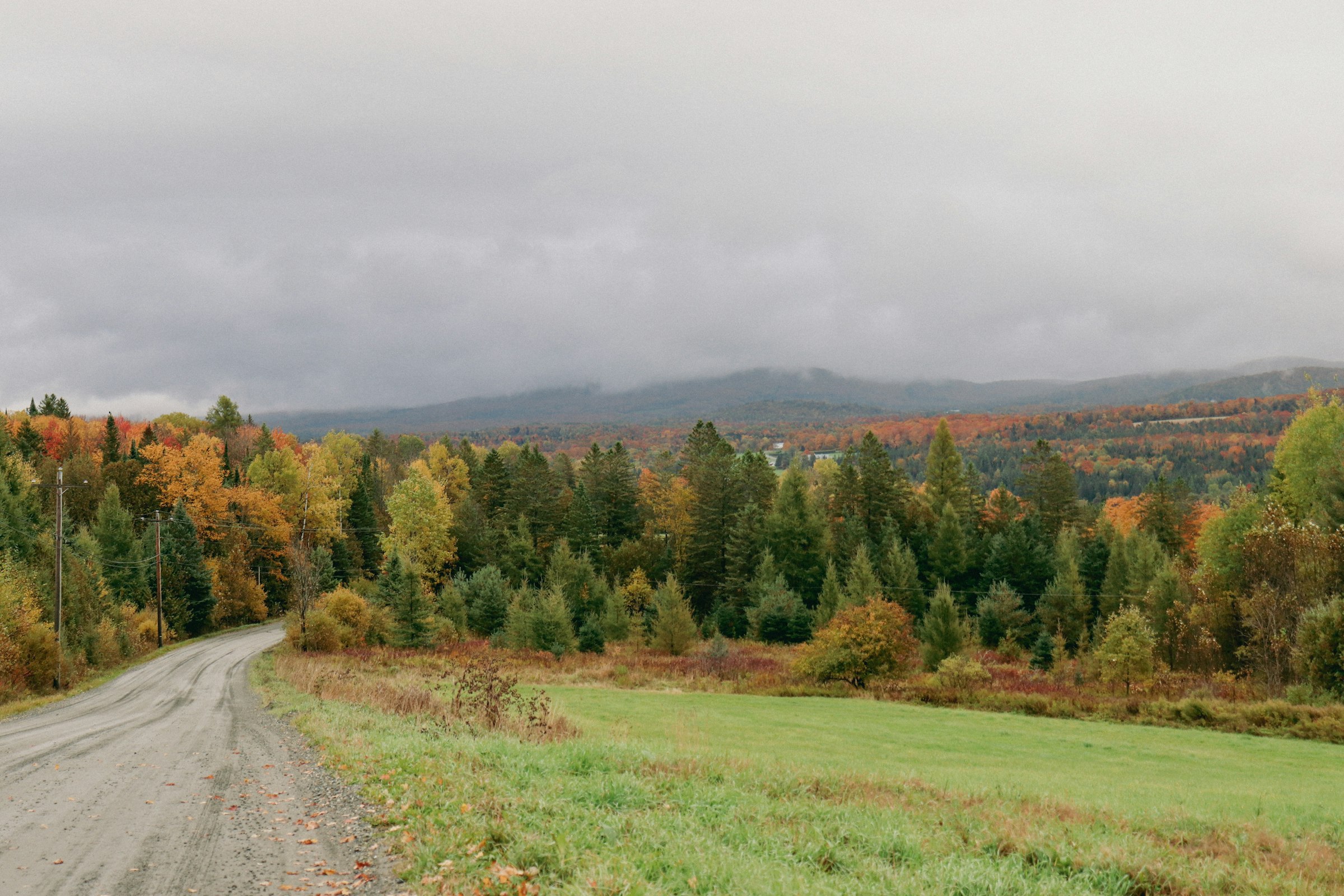 A Vermont dirt road heading into the fall woods